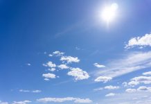 Sunshine for Gut Health