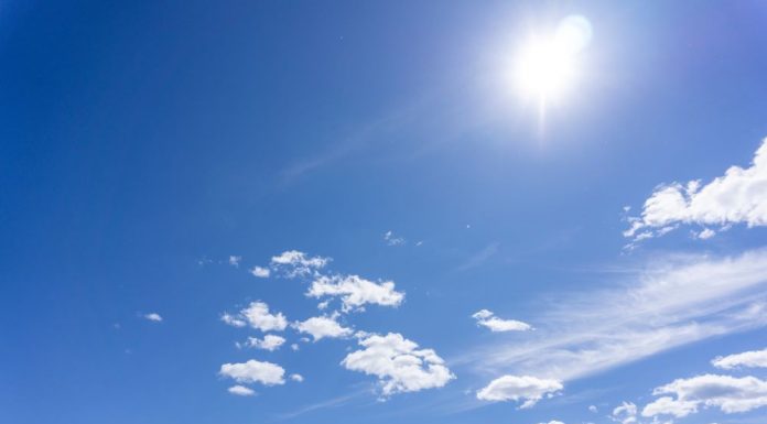 Sunshine for Gut Health