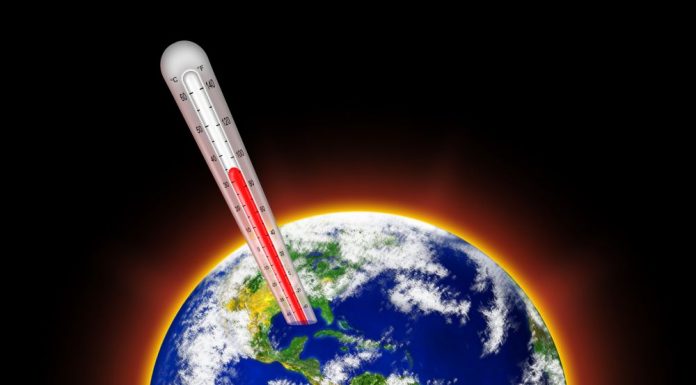Your Nutrition & Climate Change