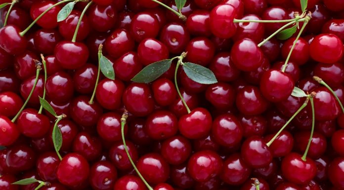 Tart Cherry Juice for Dementia
