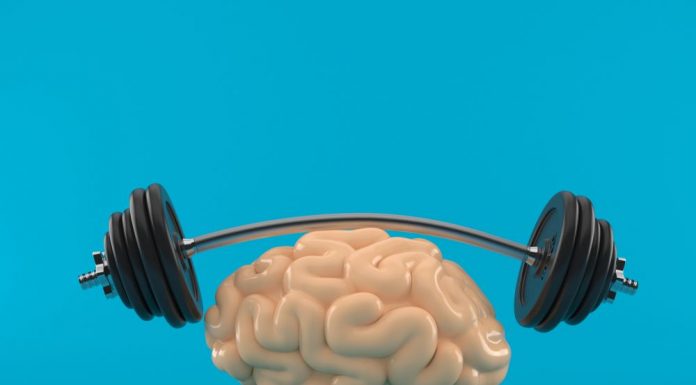 Your Brain & Fitness