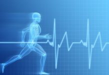 Your Bones and Stress