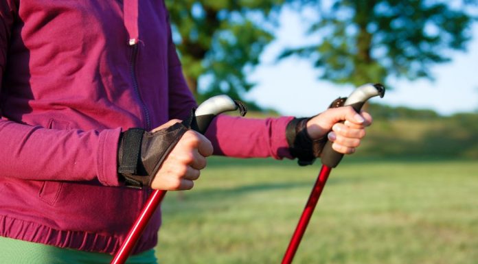 Walking: the Nordic Way