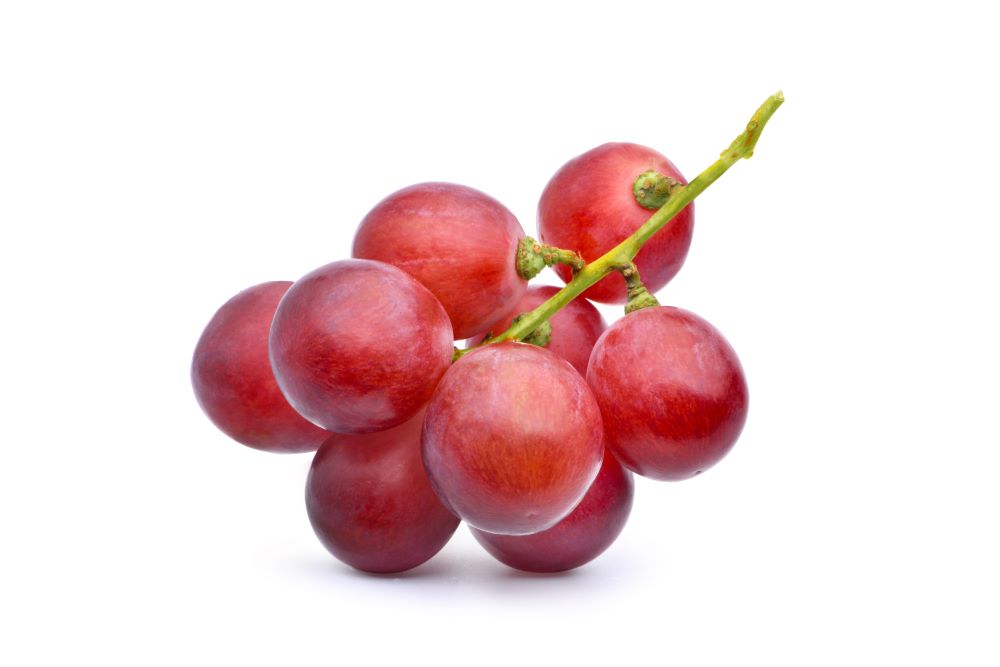 Resveratrol May Help Depression and Anxiety Explored Wellness