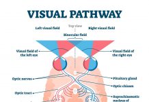 New Diagnostic Test for Autism