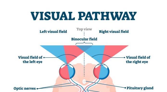 New Diagnostic Test for Autism