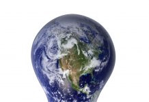 Not Just the Bees: Light Pollution & What You Can Do