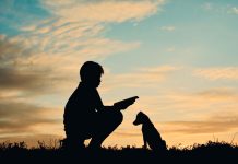 Children Reading Better with Dogs