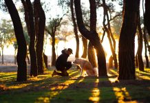 Man’s Best Friend Helps You Live Longer