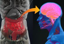 Those Gut Feelings Have Truth