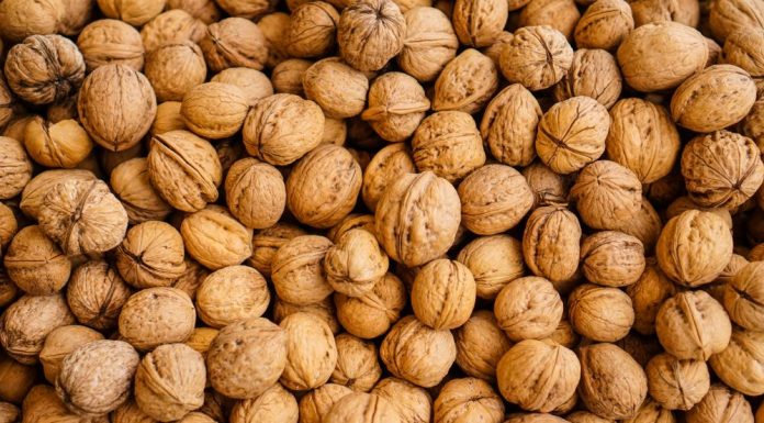 Walnuts for the Elderly