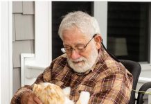 How Robotic Pets Can Benefit You & Where to Find Them