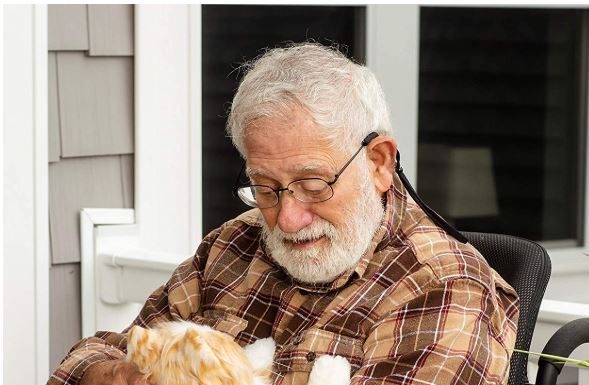 How Robotic Pets Can Benefit You & Where to Find Them