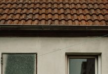 That Lonely Feeling & Your Brain