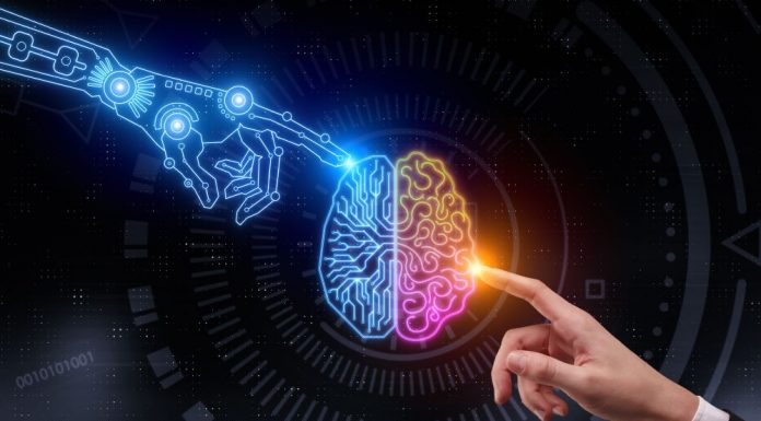 How the Brain Replays the Days