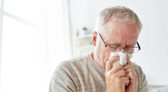 Dust Mites & Your Immune System