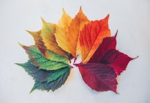 For Your Body, There are Only 2 Seasons