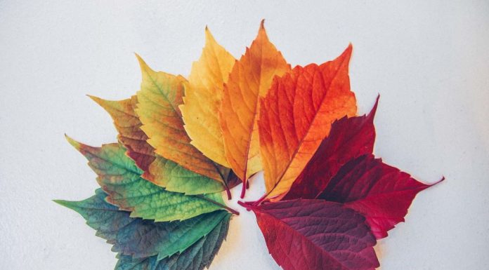 For Your Body, There are Only 2 Seasons