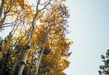 Top 5 Best Gifts for Hikers