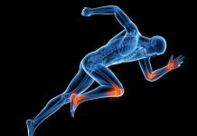 Glucosamine for Longevity?