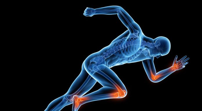 Glucosamine for Longevity?