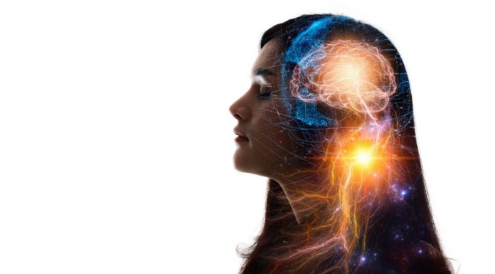 Is The Brain is a Mini-Universe?