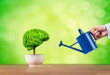 How Endocannabinoids Improve Memory with Exercise