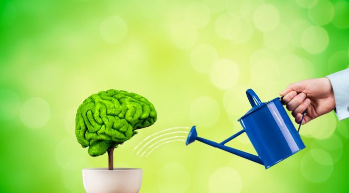 How Endocannabinoids Improve Memory with Exercise