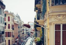 Plants:  More than Just a Color to Reduce Stress