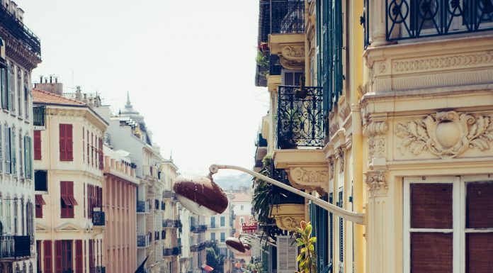 Plants: More than Just a Color to Reduce Stress