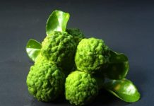 Bergamot Essential Oil