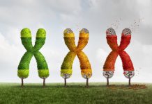 Fisetin: the Antioxidant You Need to Know