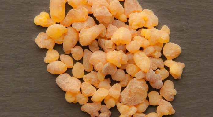 Frankincense Essential Oil