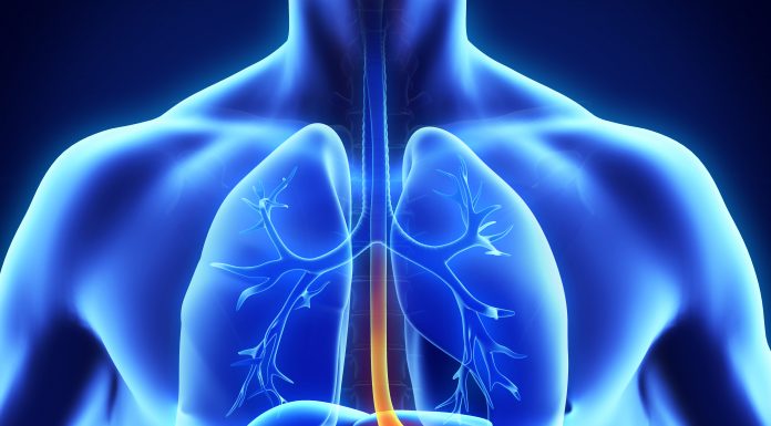 6 Supplements for Heartburn/Acid Reflux