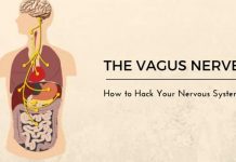 Vagus Nerve Stimulation: 4 Surprising Tricks