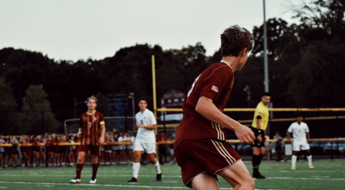 Why a Massage Gives Greater Muscle Gains