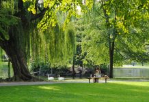 How Genes Influence Enjoyment